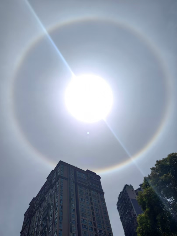 乐蒙网 绝了！这是谁的“超大美瞳”？