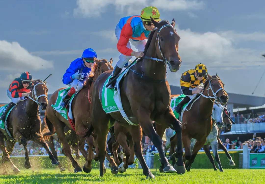 富农优配资源 “嘉应高升”受邀去英国参赛！