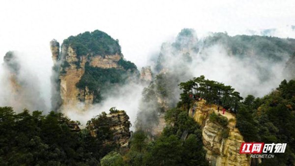 赢金配资 张家界降温迎来真正入秋 杨家界秋日云海与峰林交织成画